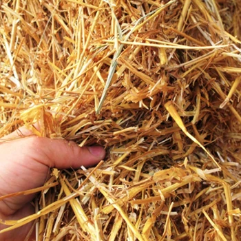 100шт 20 см за Еднократна употреба Пшеница Слама Екологично Чисти Натурални Пшенични Сламки За Пиене Преносими Екологично Чисти Сламки Бар Аксесоар