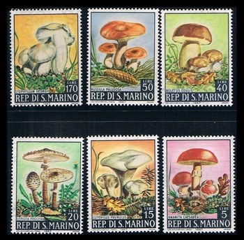 6 БР., Сан-Марино, 1967, Гъби, Марка с растения, истински оригинален, Колекция в добро състояние, MNH