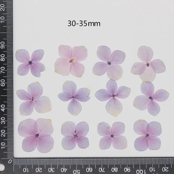 60 Бр./компл. Натурална Розова Лилаво Хортензия, сухи цветя 