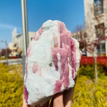 Натурален Висококачествен Бразилски Розов Турмалин Рубеола Камък Crystal Проба Лечебен Минерален Кристал На Рейки