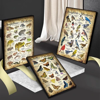 Стари Животни Colgante Образователни Плакати Пеперуда Птици, Земноводни Динозавър Капибара Платно Плакат На Стенно Изкуство, Начало Декор На Стаята